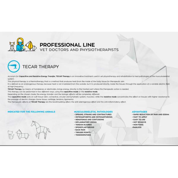 Портативная ветеринарная машина терапией Tecar физиотерапии для облегчения боли котов собак лошади любимца