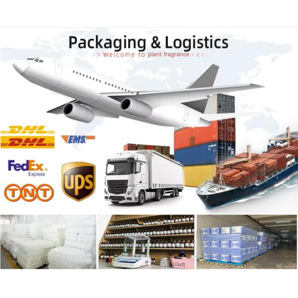 Sweet Floral  Essence Fragrance Oil For Reed Sticks & Diffusers  Concentrated