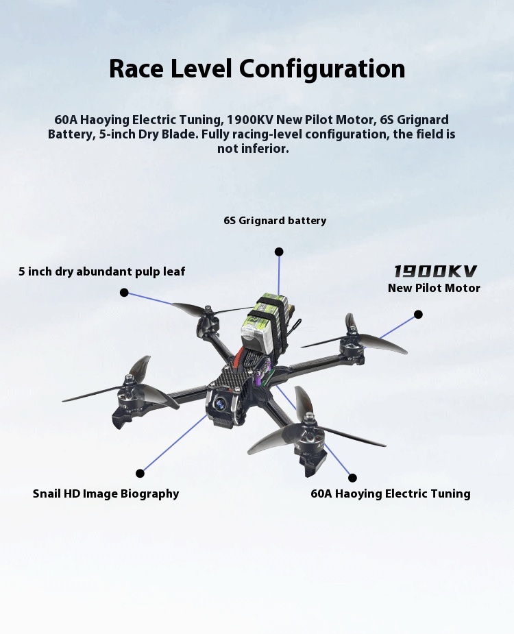 Ledi QAV250 Mini 2 Drone 5-inch GPS FPV Racing Aerial Photography Simulation Autopilot Carbon Fiber Digital Model Remote Lipo