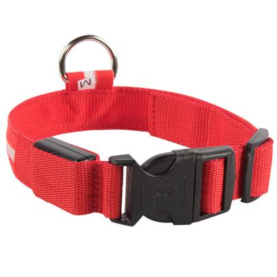 Colar conduzido luminoso do animal de estimação que carrega S recarregável M L XL