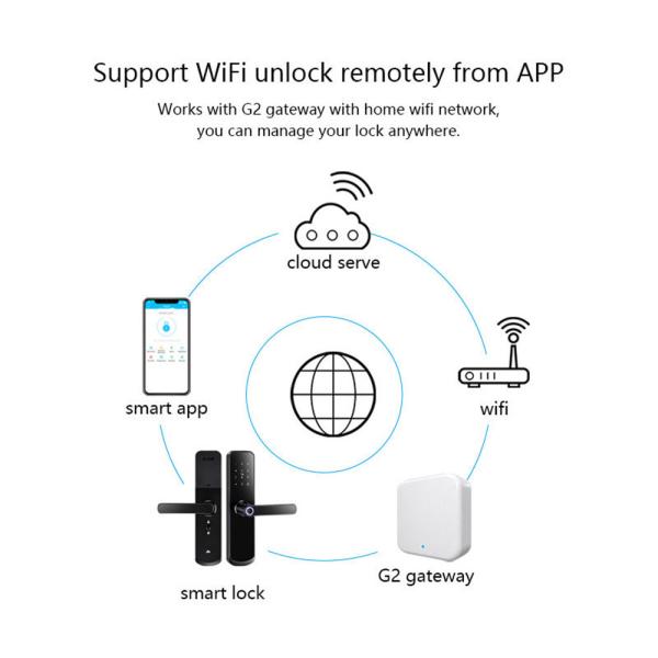 Low Voltage Alarm/Remote Control APP/Key Fingerprint RFID Card Password WIFI Wireless Remote Control Smart Door Lock