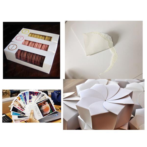 Folding Resistance C1S Folding Box Board 300gsm For Toys Packaging