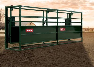 Popular Livestock Handling Equipment 2 Rolling Doors Cattle Working Systems