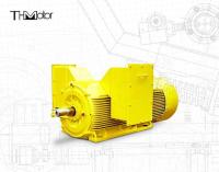 Motor eléctrico a prueba de llamas de 20P de 3 fases de jaula de ardilla 5600KW