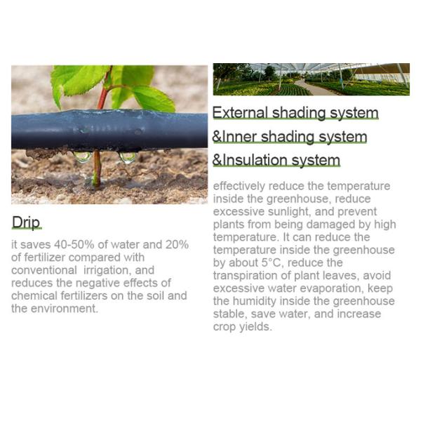 Hot Dip Glavanized Steel Polytunnel Greenhouse 10X30m Single Span