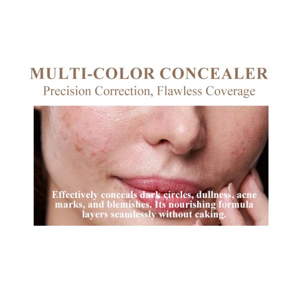 Private Label Natural Cover Dark Circles Scar Mineral Liquid Waterproof High Definition Makeup Concealer Full Coverage Makeup