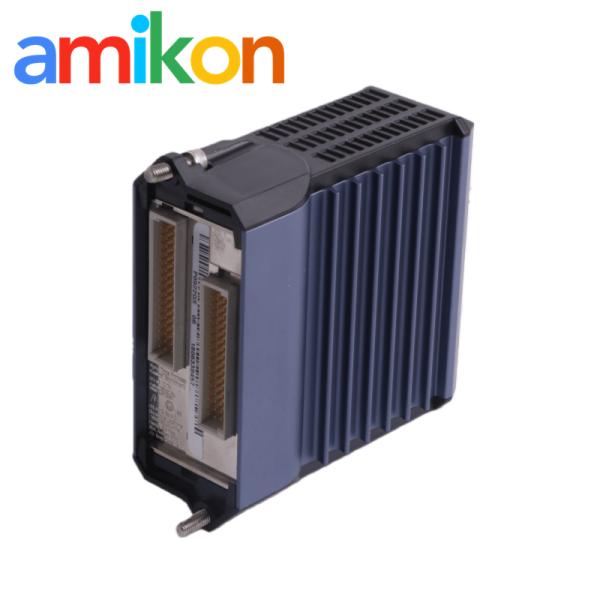 Foxboro FBM228 P0922QS Foundation Fieldbus Redundant Module with 24Vdc Input Voltage