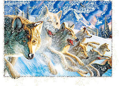 PET Plastic Material 5D Lenticular Image Frosted / Matte Finish