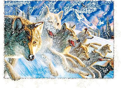 PET Plastic Material 5D Lenticular Image Frosted / Matte Finish