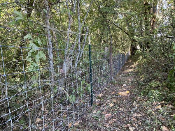 China Anping alambre galvanizado a prueba de óxido malla de reproducción de la cerca de malla de ganado y ovejas cerca de la granja de ovejas galvanizado cerca
