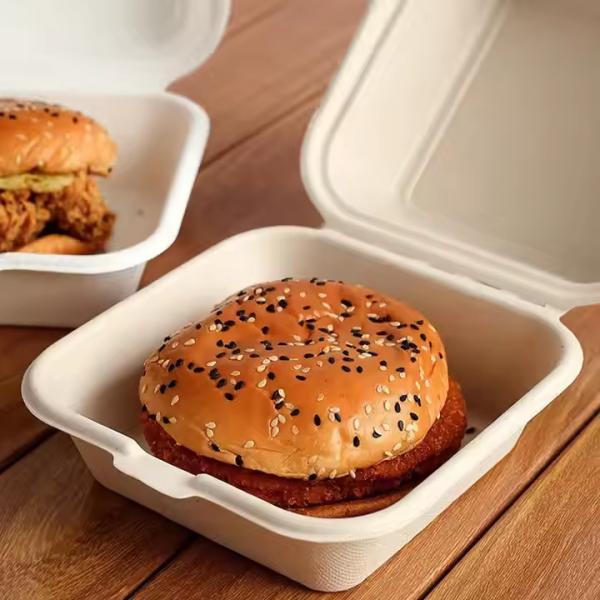 Wholesale Custom Size Biodegradable Clam Shell Boxes of Sugarcane Bagasse for Fries  Burgers