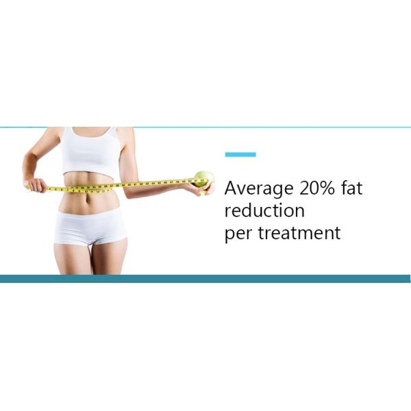 тело Cryolipolysis стороны 2000W 100kpa уменьшая машину