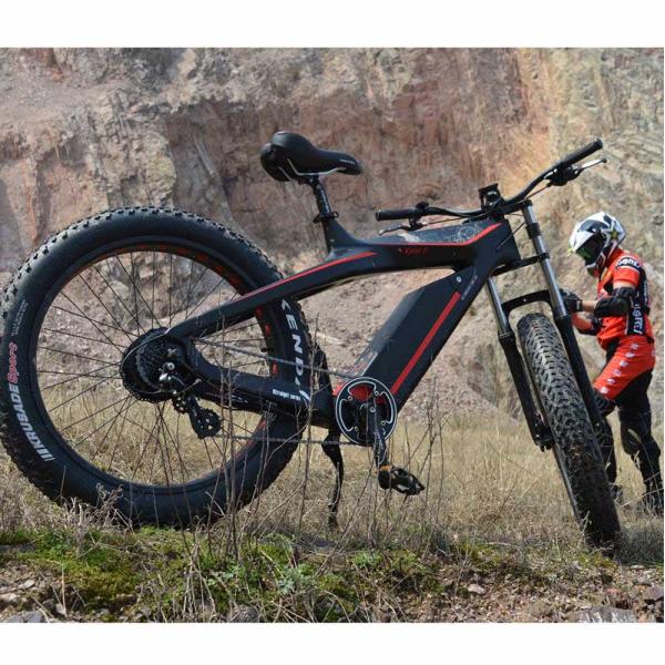 48V Electric Carbon Fiber Bike with 750W or 1000W Brushless Motor 26
