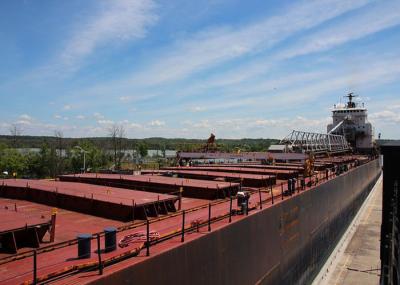 40FT 40HQ FCL Oceania Freight , Ocean Freight From China To USA