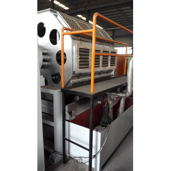 Automatic Waste Paper Recycled Paper Pulp Egg Tray Production Line By Wanyou 2500-4000pcs/h Low Energy Consumption