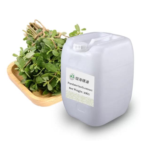 100ML Cas 90083-07-1 Purslane Essential Oil Yellow Pain Relief