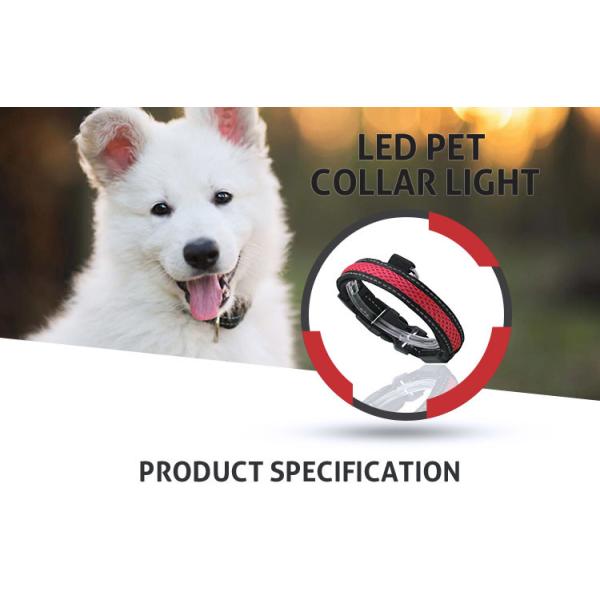 Durable Cat Neck LED Dog Collar Light Up Night Safety Strap S / M / L