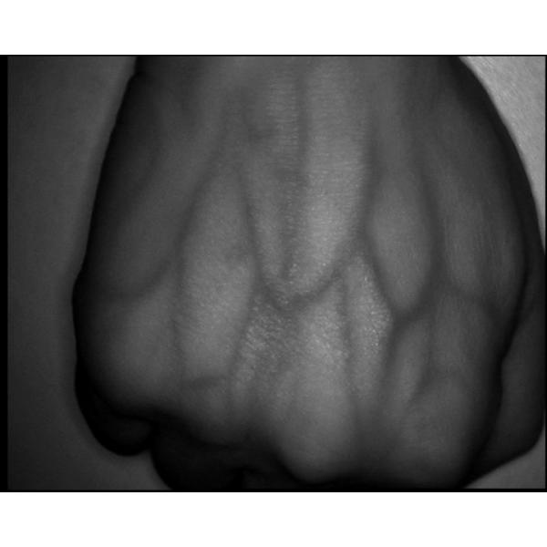 Батарея лития портативного искателя вены машины скорой помощи ультракрасного внутренняя