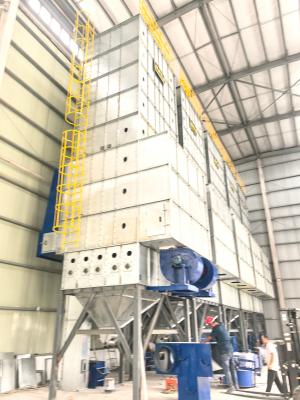Hot Air Temperature 45-75°C Recirculating Paddy Dryer Mobile Compatibility Optional Trailer Mount