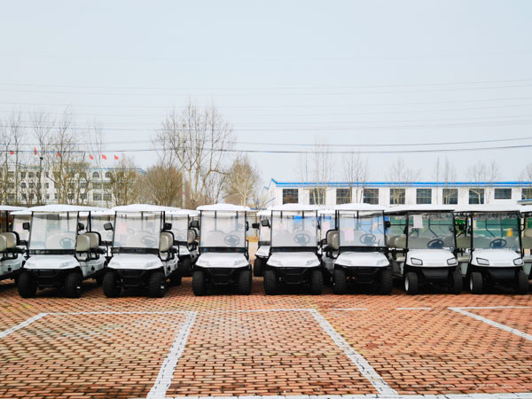 Тележки гольфа 20Мпх Сайтсеиинг законной общины улицы Аэтрик 2021 для сада