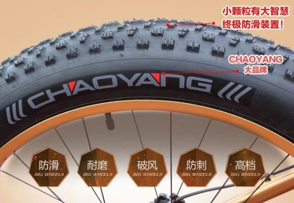 Private Label OEM 1000W 29 Inch Electric Mountain Bike