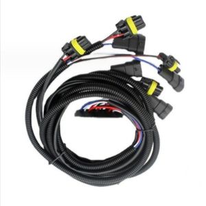 Electric Vehicle Wire Harness