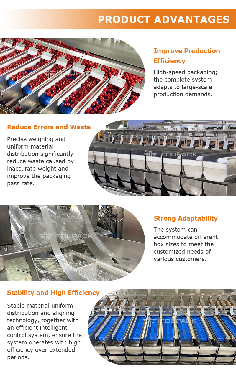 Fruit Tray Sealing Packaging Line | With Automatic Tray Denester & Fruit Linear Weigher