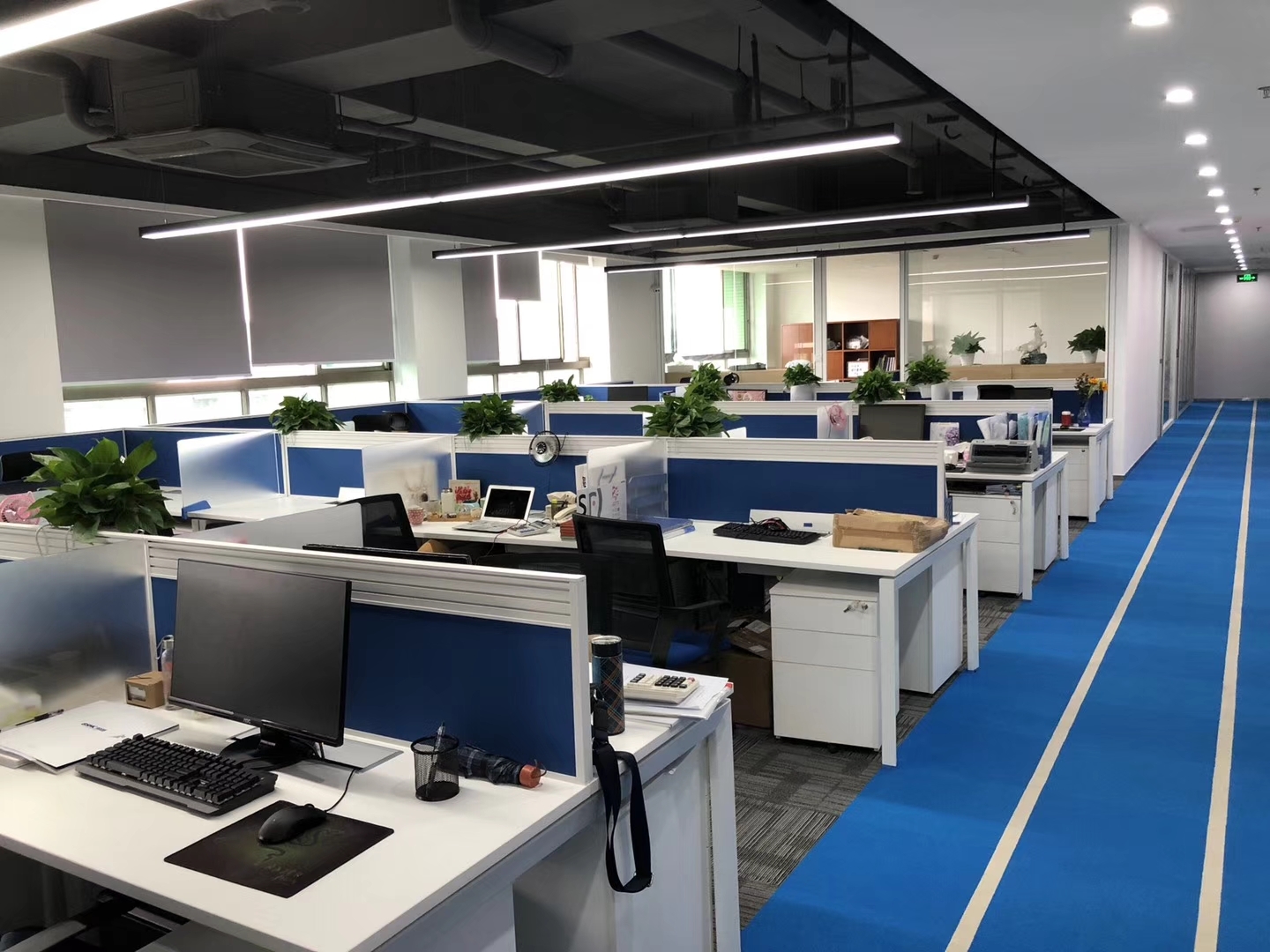 Guangdong BSMC New Material Co., Ltd.
