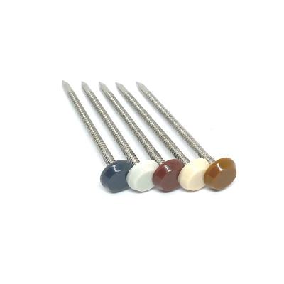 Pregos PA6 dirigidos plásticos 65MM de nylon de 50MM para o perfil