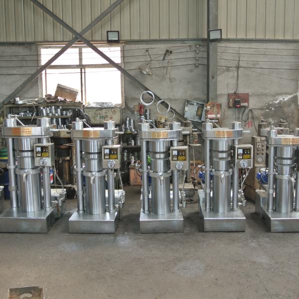 Hydraulic Sesame Oil Press Machine Avocado Cooking Oil Expeller Nuts Oil Processing Equipment