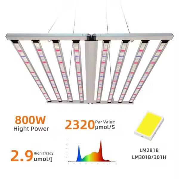 SAMSUNG LED Grow Light 800W Intérieur à plein spectre Lm301H LM281B EVO Commercial
