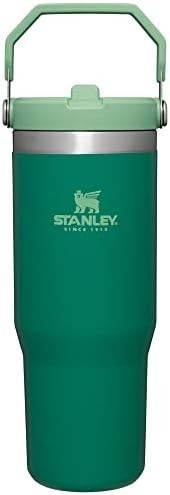 IceFlow Stainless Steel Tumbler with Straw, Vacuum Insulated Water Bottle for Home, Office or Car, Reusable Cup