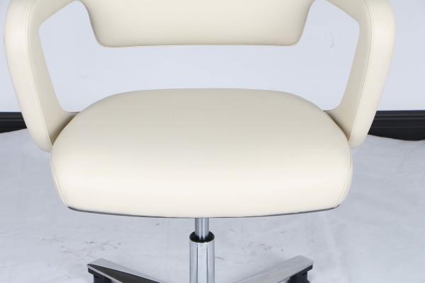 Swivel Ergonomic Office Leather Chair