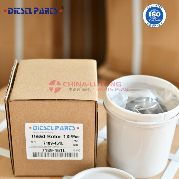 7189-461L Wholesale New Diesel Fuel Pump Head Rotor 7189-461L with Rotor 018L 3/7R Factory direct sale high quality diesel DPT pump head rotor 7189-461L 7189461L