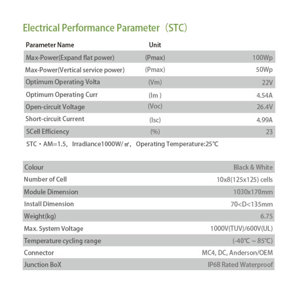 Newest Solar Energy Product 100w Sunpower Solar Glass Tubes For Street Lamp