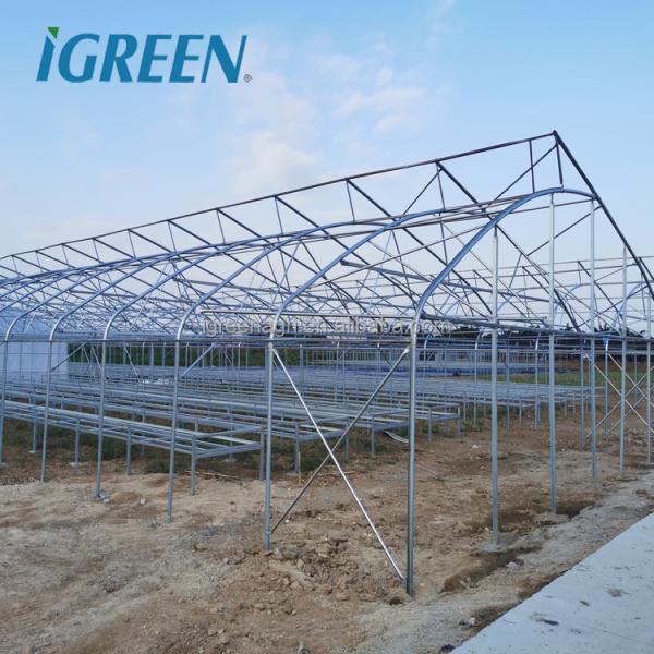 Commercial Tropical Roof Vent Single-span Large Greenhouses Hot Dipped Galvanized Steel Film Cover for Tomato Lettuce Pepper
