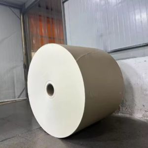 PLA Coated Paper Roll High Bulk Compostable Biodegradable Raw Material