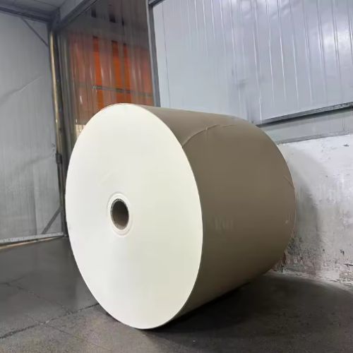 PLA Coated Paper Roll High Bulk Compostable Biodegradable Raw Material