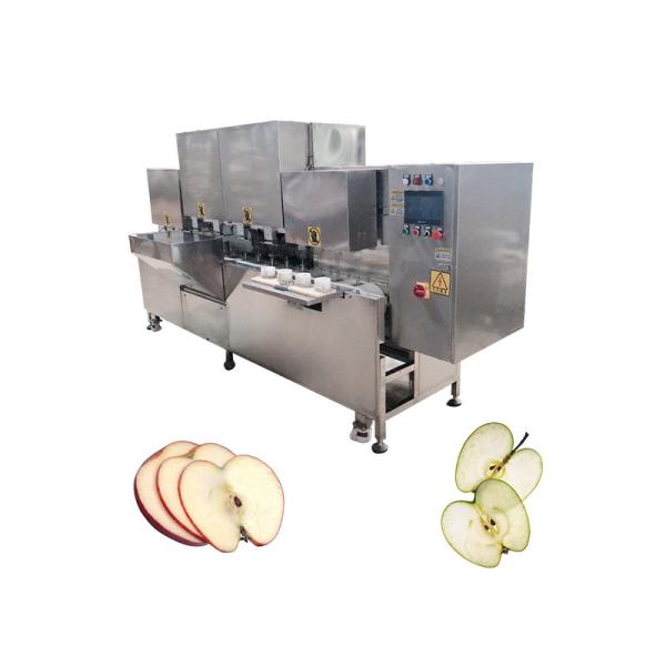 Máquina de remoção de pele e de descascagem de maçãs 2350 X 800 X 1750mm Apple Slicer