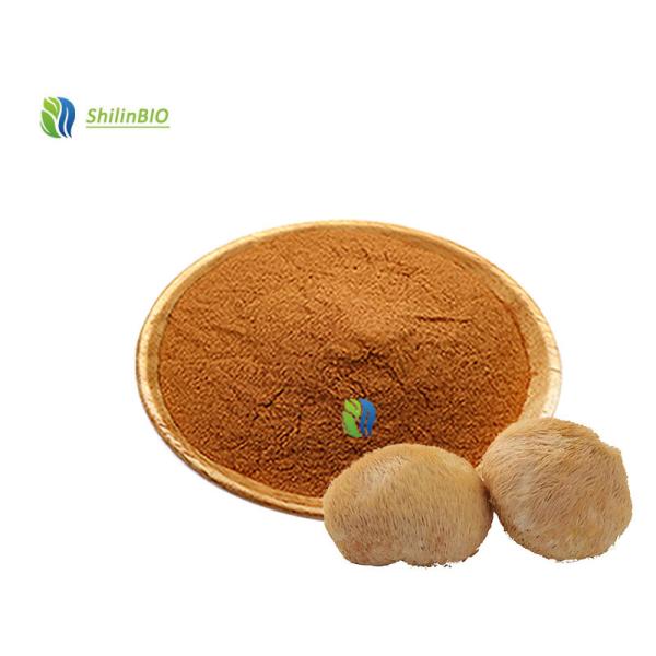 Mejor precio Hericium erinaceus polvo de grado alimenticio a granel Leones de melena polvo de melena de león puro polvo de hongos