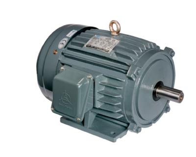 motor métrico ip55 iec60034 14 iec
