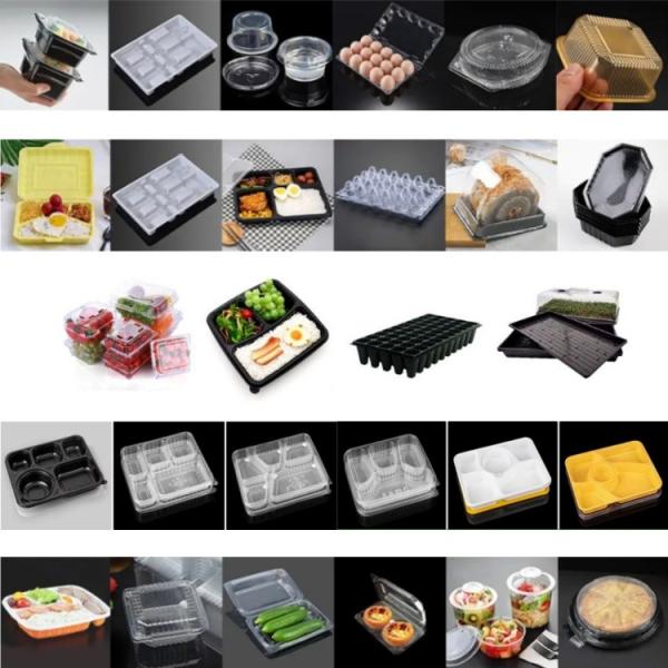 Máquina de fabricación de cajas de almuerzo totalmente automática con soporte técnico de por vida Máquina de termoformado de plástico avanzado