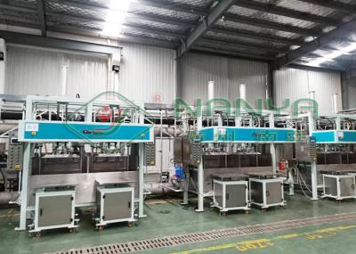 Recycle Paper Tray Egg Tray Coffee Tray Shoe Tray Automated Making Machines Vacuum Adsorption Forming New Business