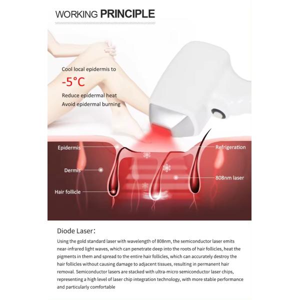 810nm 808nm Diode Laser Hair Removal Machine Laser Whitening Machine