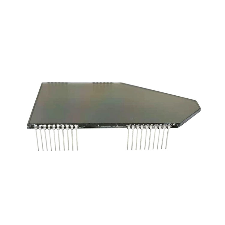 TN Segment Type LCD Module for Motorbike Dashboard, Custom LCD Screen with Odometer Trip Meter Warning Symbols