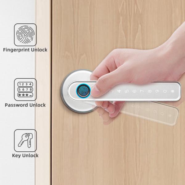 TTlock Smart Handle Door Lock