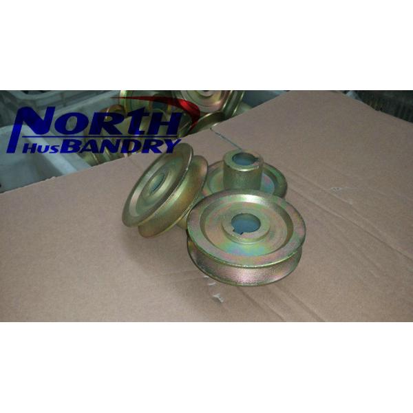 injection of poultry