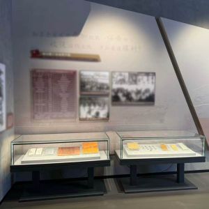 High Durability T Type Exhibit Display Case with Adjustable LED Lighting for Museums