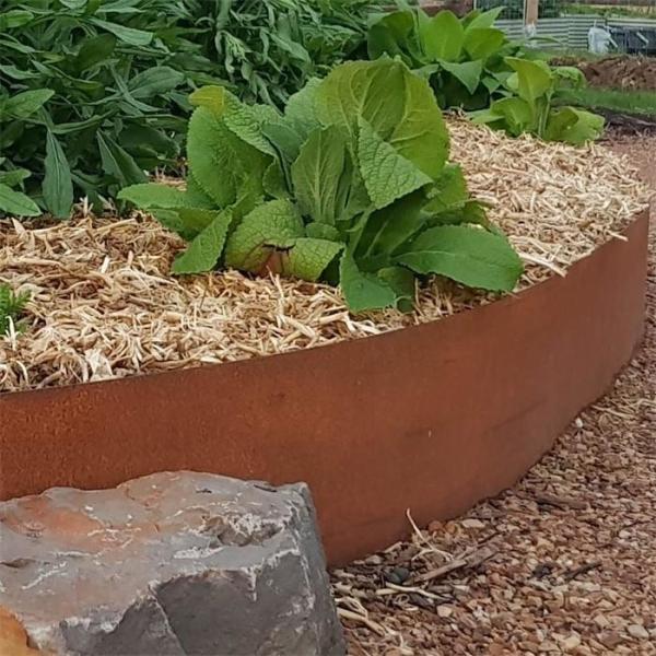 Personalize o laser cortam a afiação de aço flexível do jardim de Corten para ajardinar