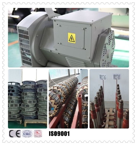 генератор 690V IP22 безщеточного Exciter 40kw/50kva Stamford одновременный